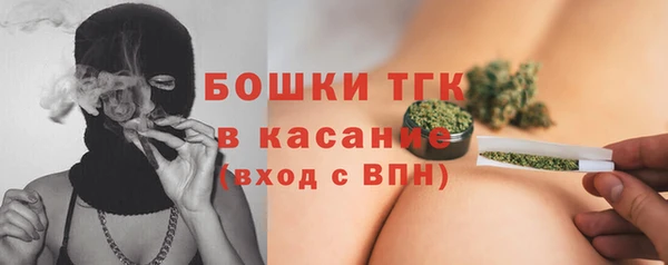 соль ск Алзамай