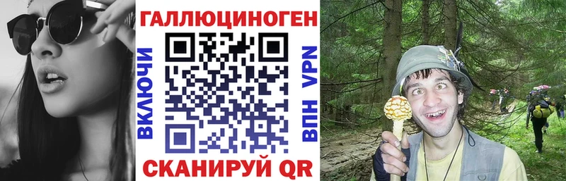Псилоцибиновые грибы Psilocybine cubensis  Волжский 