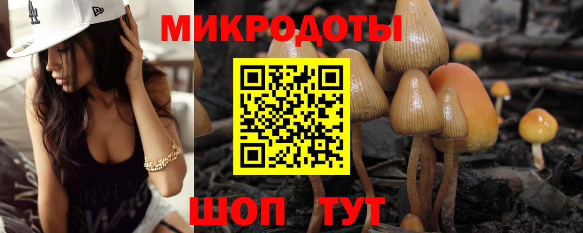 Волжский  Галлюциногенные грибы MAGIC MUSHROOMS  Галлюциногенные грибы прущие грибы  Вход с VPN 