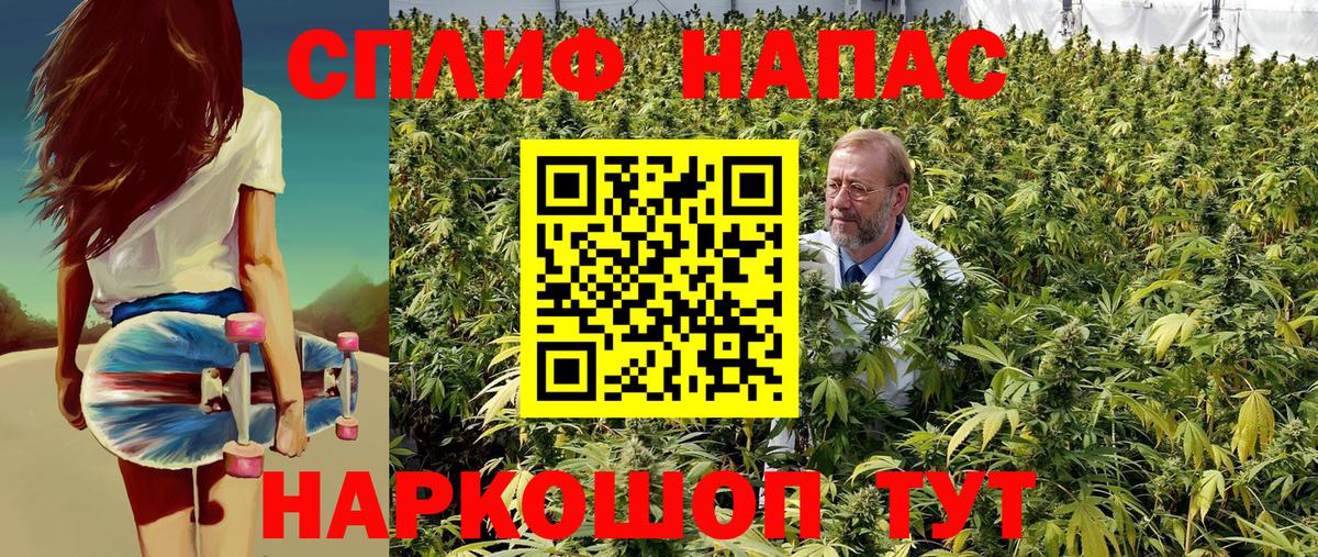 Бошки Шишки план Волжский